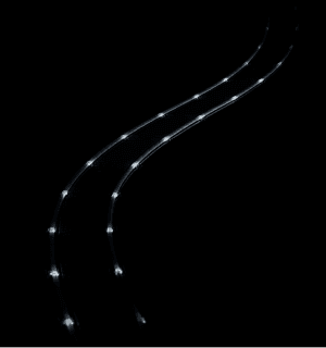 Expertise illustration