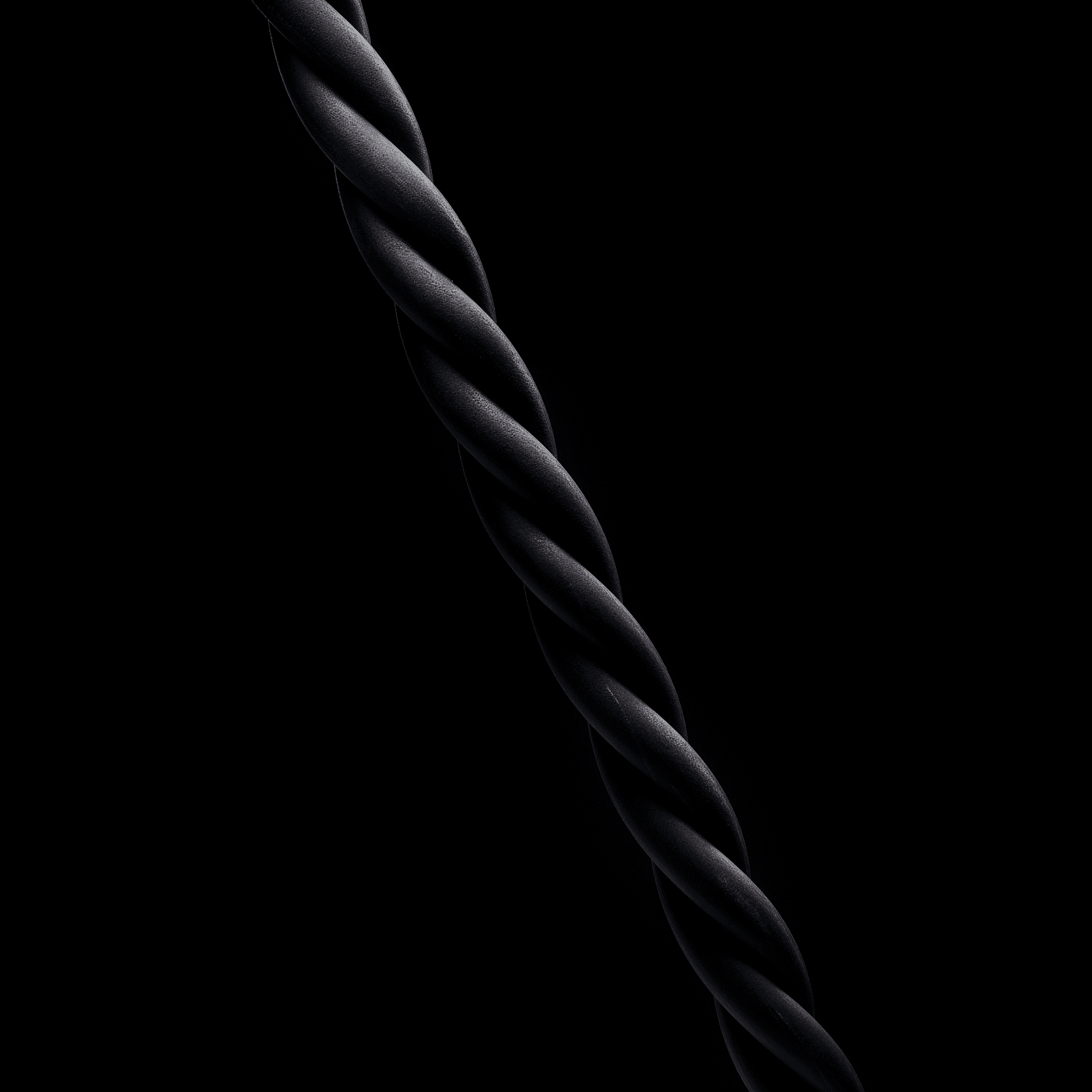 See Encrypted Traffic